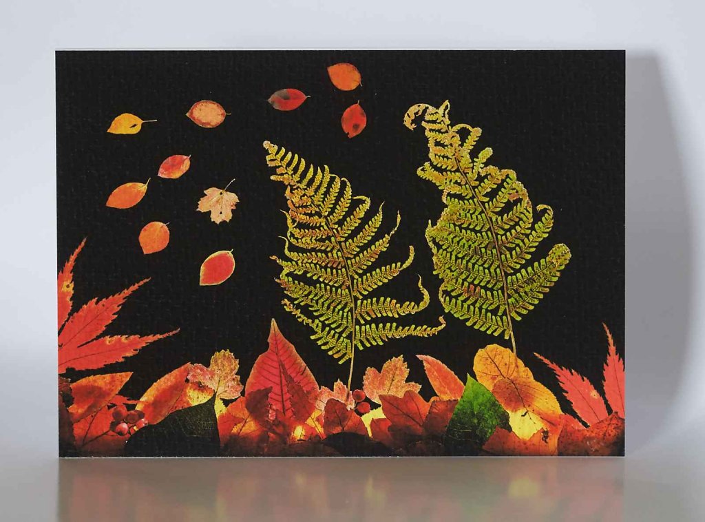 Autumn-Leaves-greetings-card.jpg