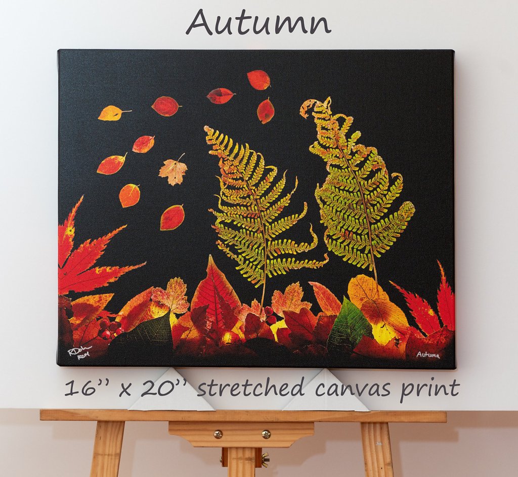 autumn-16-x-20-canvas.jpg