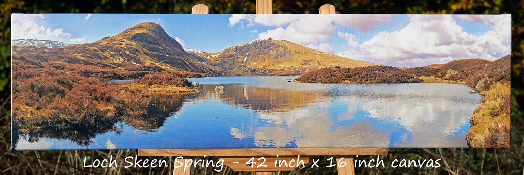 Loch-Skeen-Spring-42-x-16-inch-canvas.jpg